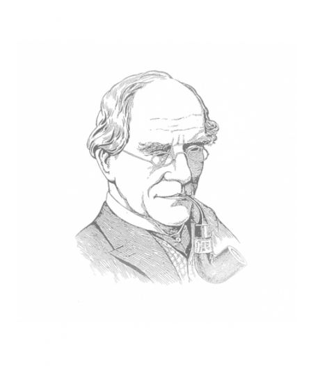 Peterson System System Spigot Rusticated (305) P-Lip (9mm)